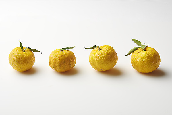 포토 JPG 스튜디오촬영 잎 과일 자연 실내 누끼 사람없음 농작물 여러개 신선 오브젝트 흰배경 유기농 비타민 유자 슈퍼푸드 국내포토 식물 웰빙 다수 백그라운드 농업 내부 흰색 생태계 건강식품 영양소 파일형식