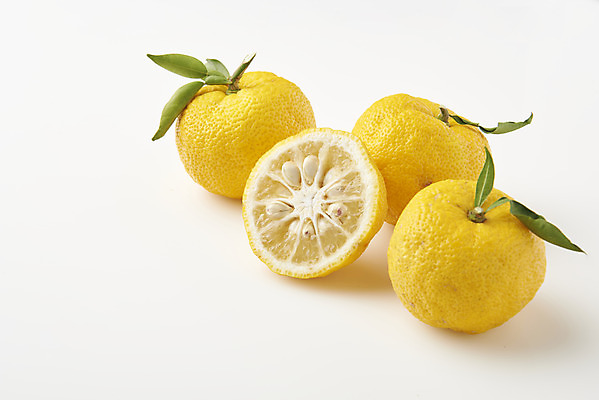 포토 JPG 스튜디오촬영 잎 과일 자연 단면 실내 누끼 사람없음 농작물 여러개 신선 오브젝트 흰배경 유기농 비타민 유자 슈퍼푸드 국내포토 식물 웰빙 다수 백그라운드 농업 내부 흰색 생태계 건강식품 영양소 파일형식