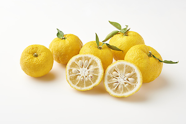 포토 JPG 스튜디오촬영 잎 과일 자연 단면 실내 누끼 사람없음 농작물 여러개 신선 오브젝트 흰배경 유기농 비타민 유자 슈퍼푸드 국내포토 식물 웰빙 다수 백그라운드 농업 내부 흰색 생태계 건강식품 영양소 파일형식