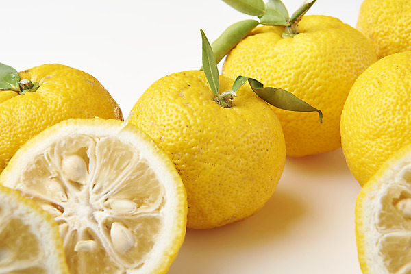 포토 JPG 스튜디오촬영 잎 과일 자연 단면 실내 누끼 사람없음 농작물 여러개 신선 오브젝트 흰배경 유기농 비타민 유자 슈퍼푸드 국내포토 식물 웰빙 다수 백그라운드 농업 내부 흰색 생태계 건강식품 영양소 파일형식