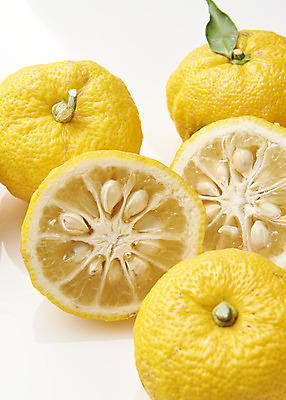 포토 JPG 스튜디오촬영 잎 과일 자연 단면 실내 누끼 사람없음 농작물 여러개 신선 오브젝트 흰배경 유기농 비타민 유자 슈퍼푸드 국내포토 식물 웰빙 다수 백그라운드 농업 내부 흰색 생태계 건강식품 영양소 파일형식