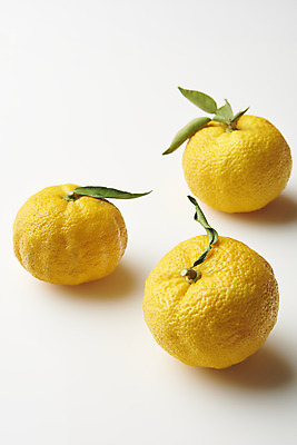포토 JPG 스튜디오촬영 잎 과일 자연 실내 누끼 사람없음 농작물 신선 세개 오브젝트 흰배경 유기농 비타민 유자 슈퍼푸드 국내포토 식물 웰빙 백그라운드 농업 3 내부 흰색 생태계 건강식품 영양소 파일형식