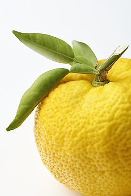 포토 JPG 스튜디오촬영 잎 과일 자연 실내 누끼 근접촬영 사람없음 농작물 한개 신선 오브젝트 흰배경 유기농 비타민 유자 슈퍼푸드 국내포토 식물 1 웰빙 뷰포인트 백그라운드 농업 내부 흰색 생태계 건강식품 영양소 파일형식