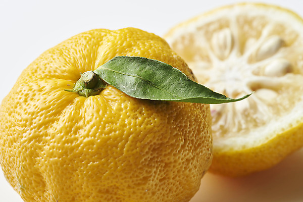 포토 JPG 스튜디오촬영 잎 과일 자연 단면 실내 누끼 근접촬영 사람없음 농작물 두개 신선 오브젝트 흰배경 유기농 비타민 유자 슈퍼푸드 국내포토 식물 웰빙 뷰포인트 백그라운드 2 농업 내부 흰색 생태계 건강식품 영양소 파일형식