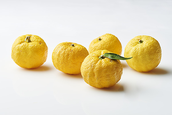 포토 JPG 스튜디오촬영 잎 과일 자연 실내 누끼 사람없음 농작물 여러개 신선 오브젝트 흰배경 유기농 비타민 유자 슈퍼푸드 국내포토 식물 웰빙 다수 백그라운드 농업 내부 흰색 생태계 건강식품 영양소 파일형식