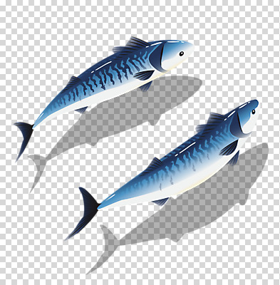 편집이미지 두마리 생물 어류 누끼 사람없음 파란색 고등어 PNG 편집소스 컬러 2 수중동물 파일형식