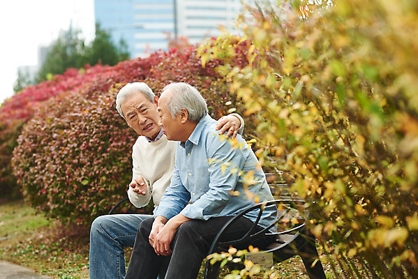 포토 JPG 주간 할아버지 노년 남자 벤치 아파트 건강 대화 앉기 상반신 야외 두명 옆모습 아웃포커스 친구 한국인 질병 고민 70대 격려 건망증 아파트단지 치매 노화 노인남자만 어깨에손 국내포토 자연요소 감정 뷰포인트 컨셉 의자 의학 관계 모션 주택 촬영기법 말하기 사람 동양인 성인 남자만 노인만 파일형식