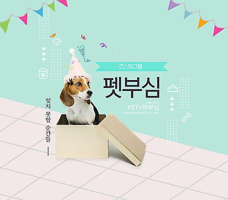 PSD 편집이미지 한마리 라이프스타일 사람없음 초록색 반려동물 상자 파티 개 강아지 비글 반려 소셜네트워크 자랑 자부심 이미지편집 동물 1 컬러 포유류 이벤트 생활 파일형식