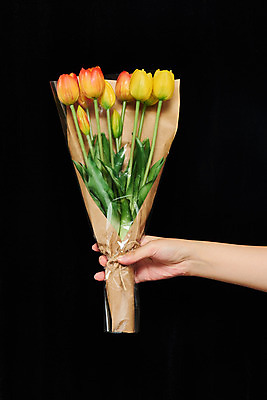 포토 JPG 스튜디오촬영 꽃다발 모션 검은배경 한손 실내 들기 신체부위 30대 튤립 오브젝트 국내포토 손 꽃 백그라운드 사람 내부 장년 검은색 파일형식