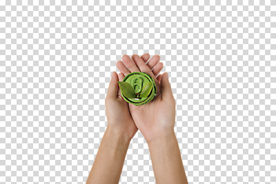 편집이미지 손 화분 한명 들기 누끼 사람 신체부위 새싹 자연보호 환경 그린캠페인 재활용 캔 에코 PNG 업사이클링 편집소스 그린슈머 식물 1 캠페인 모션 자연 보호 친환경 파일형식