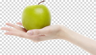 편집이미지 손 열매 과일 모션 한손 들기 누끼 사람 손짓 신체부위 초록색 사과 청사과 PNG 편집소스 식물 컬러 파일형식