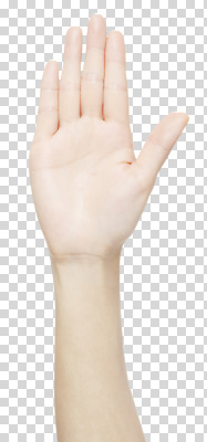 편집이미지 손 여자 손가락 모션 손바닥 한명 누끼 사람 손짓 신체부위 숫자 오 5 PNG 편집소스 문자 1 파일형식