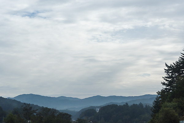 포토 JPG 주간 나무 구름 도로 자동차 하늘 풍경 사람없음 야외 드라이브 운전 안전운전 차안 국내포토 자연요소 식물 길 육상교통 교통시설 모션 교통안전 파일형식