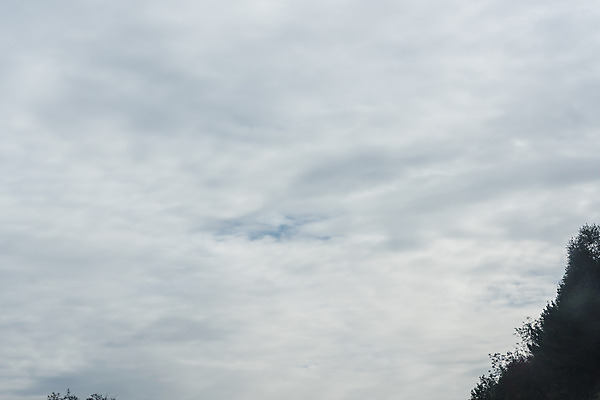 포토 JPG 주간 나무 구름 도로 자동차 하늘 풍경 사람없음 야외 드라이브 운전 안전운전 차안 국내포토 자연요소 식물 길 육상교통 교통시설 모션 교통안전 파일형식