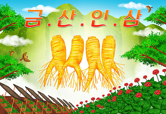 PSD 일러스트 산 타이포그라피 한글 사람없음 인삼 특산물 참새 지역 금산인삼 인삼꽃 인삼밭 국내일러스트 문자 꽃 밭 조류 삼 금산 파일형식