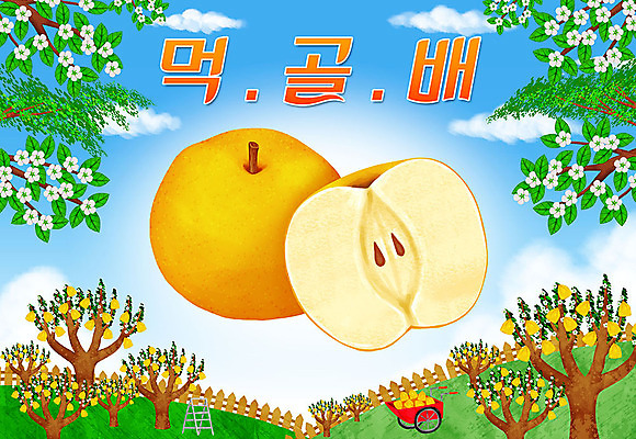 PSD 나무 꽃 밭 일러스트 타이포그라피 한글 사람없음 특산물 지역 먹골배 배나무 국내일러스트 식물 문자 농업 배_과일 파일형식