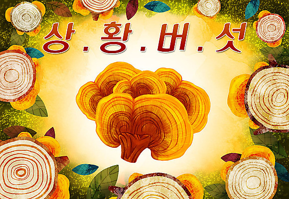 PSD 잎 일러스트 타이포그라피 한글 사람없음 버섯 특산물 지역 상황버섯 국내일러스트 식물 문자 파일형식