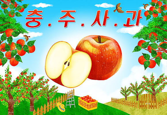 PSD 일러스트 타이포그라피 한글 사람없음 울타리 특산물 참새 지역 사과나무 충주 충주사과 국내일러스트 나무 문자 조류 담장 사과 충청북도 파일형식