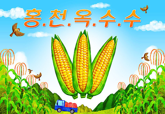 PSD 여러마리 일러스트 옥수수 타이포그라피 한글 사람없음 트럭 특산물 참새 지역 옥수수밭 홍천옥수수 국내일러스트 문자 다수 밭 자동차 조류 곡류 홍천 파일형식