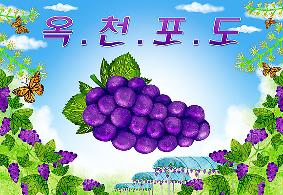 PSD 나비 여러마리 일러스트 타이포그라피 한글 사람없음 특산물 포도밭 지역 포도잎 옥천포도 국내일러스트 문자 다수 곤충 잎 밭 포도 옥천 파일형식
