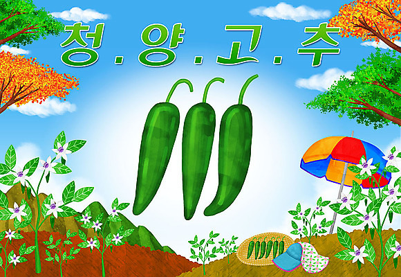 PSD 꽃 일러스트 고추 타이포그라피 한글 사람없음 파라솔 특산물 지역 고추밭 청양고추 청양 국내일러스트 식물 문자 밭 채소 충청남도 파일형식