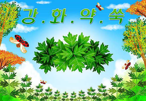 PSD 나무 밭 일러스트 타이포그라피 한글 사람없음 특산물 무당벌레 지역 쑥 제철 제철음식 강화약쑥 산나물 국내일러스트 식물 문자 음식 곤충 농업 채소 나물 강화도 파일형식 약쑥