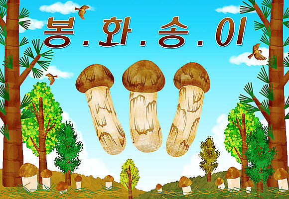 PSD 나무 일러스트 타이포그라피 한글 사람없음 버섯 특산물 참새 지역 봉화 봉화송이 국내일러스트 식물 문자 조류 경상북도 파일형식