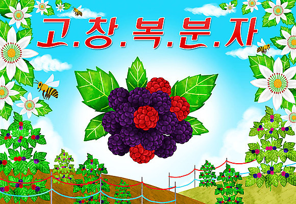 PSD 꽃 밭 일러스트 타이포그라피 한글 사람없음 울타리 벌 특산물 지역 고창 복분자 제철 제철음식 고창복분자 국내일러스트 식물 문자 음식 곤충 농업 과일 담장 전라북도 파일형식