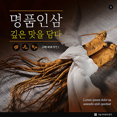 PSD 템플릿 ZIP 웹템플릿 겨울 팝업 이벤트팝업 웹팝업 건강 이벤트 사람없음 갈색 한약재 인삼 명품 빅팝업 이미지템플릿 계절 컬러 약재 삼 상품 파일형식