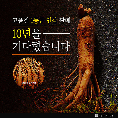 PSD 템플릿 ZIP 웹템플릿 겨울 팝업 이벤트팝업 웹팝업 건강 이벤트 사람없음 갈색 한약재 인삼 명품 빅팝업 이미지템플릿 계절 컬러 약재 삼 상품 파일형식