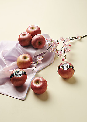 포토 JPG 스튜디오촬영 명절 과일 실내 사람없음 신선 사과 천 오브젝트 선물세트 꽃가지 명절선물 국내포토 전통 기념일 꽃 선물 내부 나뭇가지 직물 파일형식