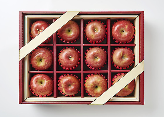 포토 JPG 스튜디오촬영 명절 리본 과일 실내 사람없음 하이앵글 신선 사과 오브젝트 선물세트 플랫레이 명절선물 국내포토 전통 기념일 뷰포인트 선물 내부 플랫 파일형식