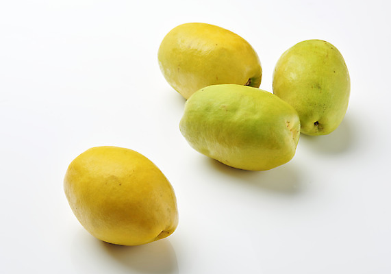 포토 JPG 스튜디오촬영 과일 자연 실내 누끼 사람없음 농작물 여러개 신선 오브젝트 흰배경 유기농 모과 비타민 슈퍼푸드 국내포토 웰빙 다수 백그라운드 농업 내부 흰색 생태계 건강식품 영양소 파일형식