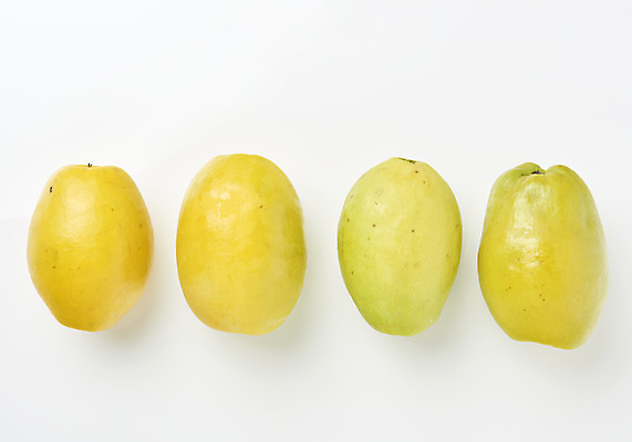 포토 JPG 스튜디오촬영 과일 자연 실내 누끼 사람없음 농작물 하이앵글 여러개 신선 오브젝트 흰배경 유기농 일렬 모과 비타민 플랫레이 슈퍼푸드 국내포토 웰빙 뷰포인트 다수 백그라운드 농업 내부 흰색 플랫 생태계 건강식품 영양소 파일형식