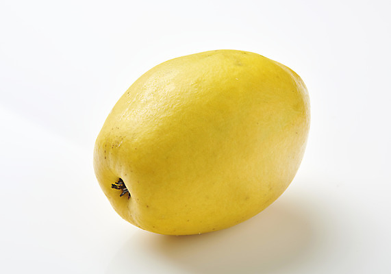 포토 JPG 스튜디오촬영 과일 자연 실내 누끼 사람없음 농작물 한개 신선 오브젝트 흰배경 유기농 모과 비타민 슈퍼푸드 국내포토 1 웰빙 백그라운드 농업 내부 흰색 생태계 건강식품 영양소 파일형식