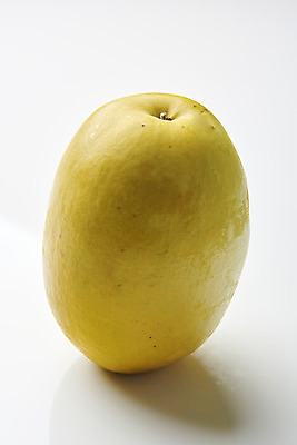 포토 JPG 스튜디오촬영 과일 자연 실내 누끼 사람없음 농작물 한개 신선 오브젝트 흰배경 유기농 모과 비타민 슈퍼푸드 국내포토 1 웰빙 백그라운드 농업 내부 흰색 생태계 건강식품 영양소 파일형식