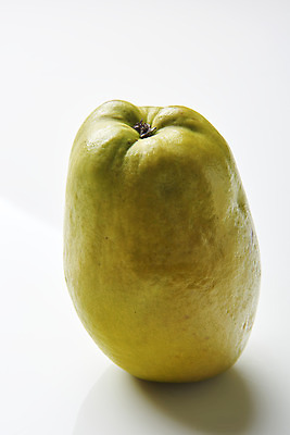 포토 JPG 스튜디오촬영 과일 자연 실내 누끼 사람없음 농작물 한개 신선 오브젝트 흰배경 유기농 모과 비타민 슈퍼푸드 국내포토 1 웰빙 백그라운드 농업 내부 흰색 생태계 건강식품 영양소 파일형식