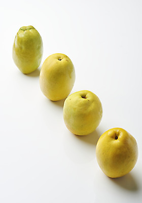포토 JPG 스튜디오촬영 과일 자연 실내 누끼 사람없음 농작물 여러개 신선 오브젝트 흰배경 유기농 일렬 모과 비타민 슈퍼푸드 국내포토 웰빙 다수 백그라운드 농업 내부 흰색 생태계 건강식품 영양소 파일형식
