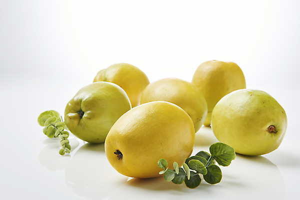 포토 JPG 스튜디오촬영 잎 과일 자연 실내 누끼 사람없음 농작물 여러개 신선 오브젝트 흰배경 유기농 모과 비타민 슈퍼푸드 국내포토 식물 웰빙 다수 백그라운드 농업 내부 흰색 생태계 건강식품 영양소 파일형식