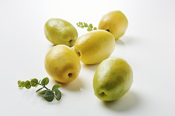 포토 JPG 스튜디오촬영 잎 과일 자연 실내 누끼 사람없음 농작물 여러개 신선 오브젝트 흰배경 유기농 모과 비타민 슈퍼푸드 국내포토 식물 웰빙 다수 백그라운드 농업 내부 흰색 생태계 건강식품 영양소 파일형식