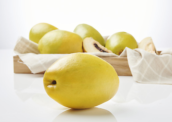 포토 JPG 스튜디오촬영 과일 자연 실내 누끼 근접촬영 사람없음 농작물 여러개 신선 천 오브젝트 흰배경 유기농 모과 비타민 나무쟁반 슈퍼푸드 국내포토 웰빙 뷰포인트 다수 백그라운드 농업 쟁반 내부 목재 흰색 직물 생태계 건강식품 영양소 파일형식