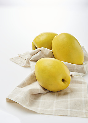 포토 JPG 스튜디오촬영 과일 자연 실내 누끼 사람없음 농작물 신선 세개 천 오브젝트 흰배경 유기농 모과 비타민 슈퍼푸드 국내포토 웰빙 백그라운드 농업 3 내부 흰색 직물 생태계 건강식품 영양소 파일형식