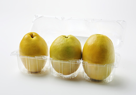 포토 JPG 스튜디오촬영 과일 자연 실내 누끼 사람없음 농작물 신선 세개 오브젝트 흰배경 유기농 모과 비타민 포장용기 슈퍼푸드 국내포토 웰빙 백그라운드 농업 3 내부 흰색 생태계 건강식품 영양소 포장재료 파일형식