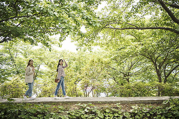 포토 JPG 주간 전신 나무 우먼라이프 공원 여자 길 여행 사람 20대 성인 야외 두명 옆모습 관광지 손들기 걷기 봄 우정 산책 산책로 한국인 추억 전라남도 숲길 여수 국내여행 봄여행 성인여자만 국내포토 자연요소 식물 라이프스타일 계절 공공시설 뷰포인트 컨셉 모션 휴식 동양인 청년 친구 전라도 여자만 성인만 파일형식