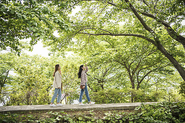 포토 JPG 주간 전신 나무 우먼라이프 공원 여자 길 여행 사람 20대 성인 야외 두명 옆모습 관광지 걷기 봄 우정 산책 산책로 한국인 추억 전라남도 숲길 여수 국내여행 봄여행 성인여자만 국내포토 자연요소 식물 라이프스타일 계절 공공시설 뷰포인트 컨셉 모션 휴식 동양인 청년 친구 전라도 여자만 성인만 파일형식