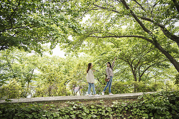 포토 JPG 주간 전신 나무 우먼라이프 공원 여자 길 여행 사람 20대 성인 야외 두명 옆모습 관광지 걷기 봄 우정 산책 산책로 한국인 추억 전라남도 숲길 여수 국내여행 봄여행 성인여자만 국내포토 자연요소 식물 라이프스타일 계절 공공시설 뷰포인트 컨셉 모션 휴식 동양인 청년 친구 전라도 여자만 성인만 파일형식