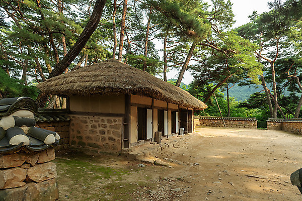 포토 JPG 주간 여행 고건축 한국 풍경 사람없음 야외 여름 관광지 여름풍경 소나무 강원도 국내여행 영월 청령포 영월10경 단종어소 국내포토 자연요소 나무 건축물 계절 아시아 명승지 파일형식 여름_계절
