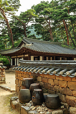 포토 JPG 주간 여행 고건축 한국 풍경 사람없음 야외 여름 관광지 여름풍경 소나무 항아리 강원도 국내여행 영월 기와담장 청령포 영월10경 단종어소 국내포토 자연요소 나무 건축물 계절 아시아 기와 담장 도자기 명승지 파일형식 여름_계절