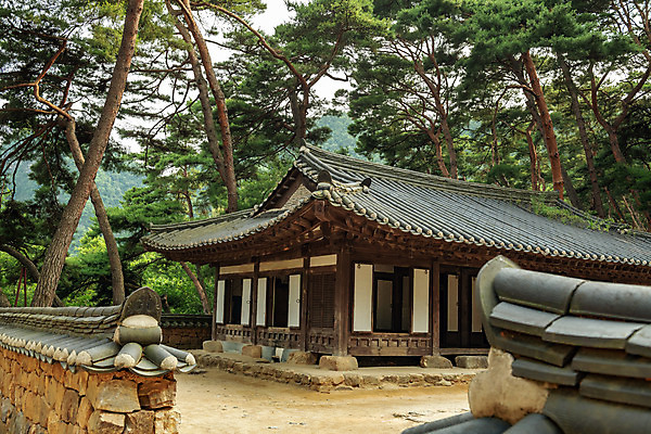 포토 JPG 주간 여행 고건축 한국 풍경 사람없음 야외 여름 관광지 여름풍경 소나무 강원도 국내여행 영월 기와담장 청령포 영월10경 단종어소 국내포토 자연요소 나무 건축물 계절 아시아 기와 담장 명승지 파일형식 여름_계절