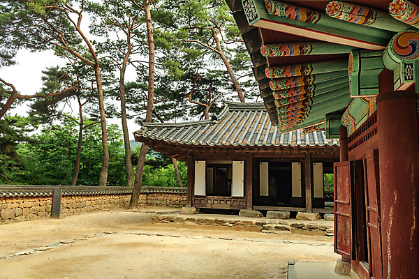 포토 JPG 주간 여행 고건축 한국 풍경 사람없음 야외 여름 관광지 여름풍경 소나무 강원도 국내여행 비각 영월 청령포 영월10경 단종어소 국내포토 자연요소 나무 건축물 계절 아시아 명승지 파일형식 여름_계절